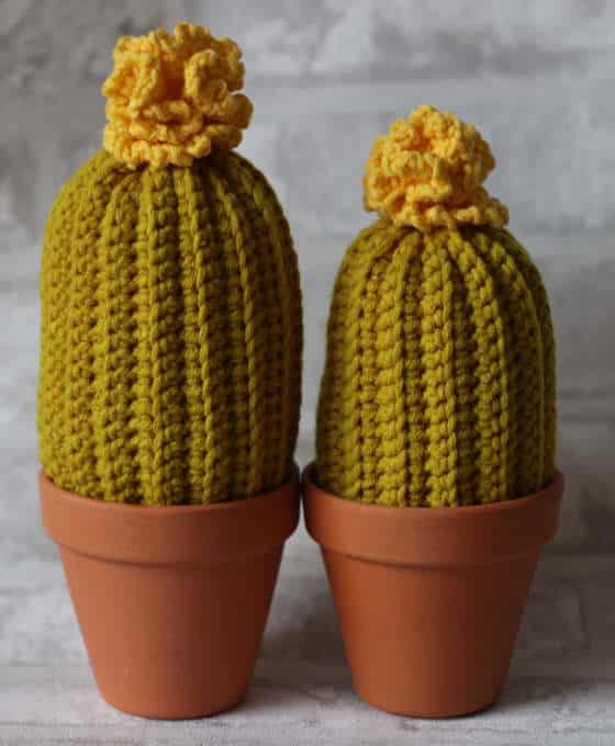 Enviar Cactus Crochet